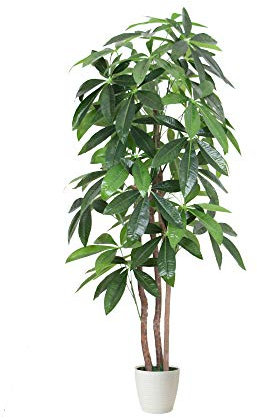 Tradala 5' 5ft Tall Large Artificial Fortune Tree Indoor House Plant with Real Wooden Trunk|Green Faux Realistic Artificial Tree in Plant Pot|For Living Room Bedroom Home Office