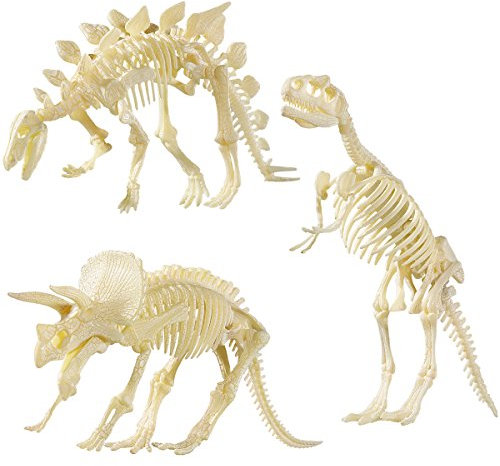 NUOLUX NUOLUX 4D Dinosaurier Fossil Skeleton Sortiert Dinosaurier Spielzeug DIY 3 Stücke Dino Knochen Fossilien Für Kinder Jungen Mädchen