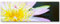 Paul Sinus Art Leinwandbilder | Bilder Leinwand 120x40cm rosa Lotusblüte - Nahaufnahme