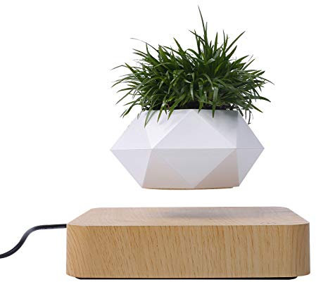 YSISLY Pot de Bonsaï à Lévitation Magnétique, Mini Pot de Fleur à Lévitation Magnétique, 360 Degrés Pot de Bonsaï Flottant à Lévitation Magnétique pour la Décoration de Bureau à Domicile (Bois Clair)