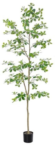 Bellacat Árbol de olivo negro sintético de 7 pies de alto, árboles sintéticos para interiores con tronco natural y hojas realistas. Árbol artificial de 7 pies (84 pulgadas) para decoración de oficina