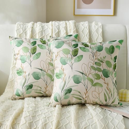 DecorMommt Kissenbezug 45x45 Grün Eukalyptus Blätter Sommer Kissenbezüge Frühling Dekoration Kissenhülle 2 Stück Dekokissen Bezug für Sofa Auto Home Bed Büro Cafe Garten Dekorativen