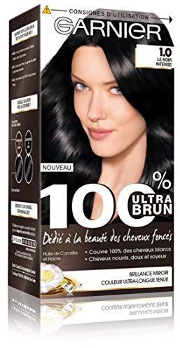 Garnier - 100% Ultra Brun - Coloration Permanente Noir - Le Noir Intense 1.0