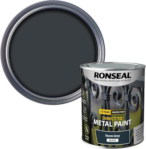 DUAYRA Metal Paint | Anti Rust Water Based | Quick Drying Formula | Long Lasting Finish | Metal Surface Paints | No Primer Needed | Tough, Durable & Weather Resistant | (Storm Grey Gloss, 250ml)