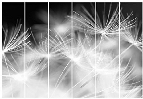 Bilderwelten Schiebegardinen Pusteblumen Nahaufnahme - Wandhalterung 6X 250x60cm