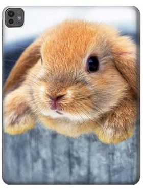 Cute Rabbit Tablet Case Cover Custodia per iPad Pro 13 (2024)