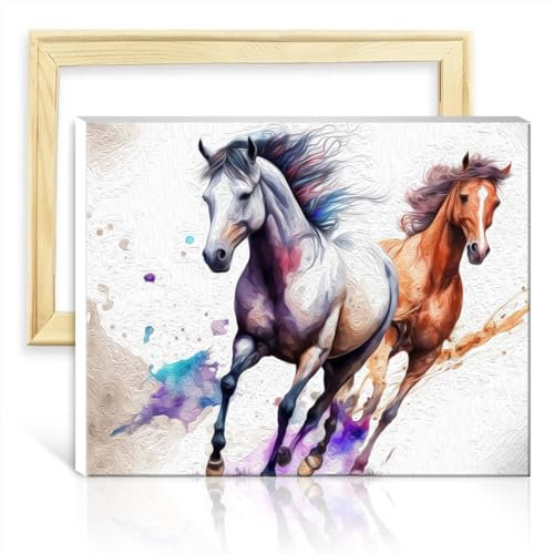 LiHEQING Kit de peinture à l'huile peinture par numéro peinture aquarelle cheval peinture adultes maison salon décoratif bricolage cadre (30x40 cm)