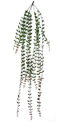 Leaf Design Artificial Hanging Plants