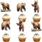 30pcs Brown Bear Happy Birthday Cupcake Toppers - Forest Animal Cupcake Decoration Picks - Jungle Safari Cake Decorations - Brown Bear Theme Baby Shower Kids Boys Girls Birthday Party Supplies