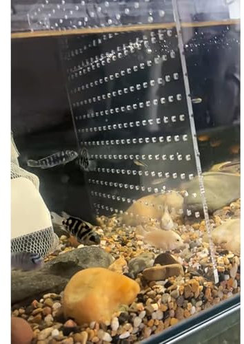 Aquarium Trennwand Großer Aquarium-Teiler für 30/40/50/65/75/90/125/150 Gallonen Betta, Aquarium-Teiler aus Acryl, transparent, verstellbare Trennwände für Fischzuchtbehälter(B Pattern,38x50cm/15x19.7