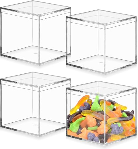 WANDGU 4 Stück Acrylbox mit Deckel: 10 x 10 x 10 cm Kleine Aufbewahrungsbox mit Deckel, Transparent Kleine Acryl Box, Aufbewahrungsbox für Schmuck, Vitrine, Aufbewahrung und Süßigkeiten Verpackung