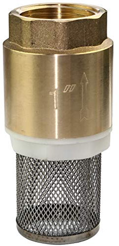 AERZETIX - C47461 - Clapet 1'' Crépine Monobloc d'Aspiration/Corbeille avec Anti-Retour - Clapet de Pied - Vanne Non Retour - en Acier Laitonné