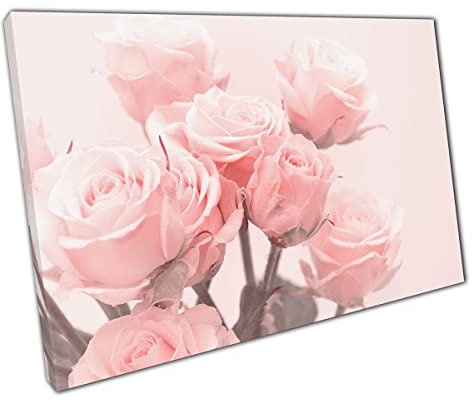 Delicate Bouquet Of Blush Pastel Pink Roses Romantic Valentines Flower Floral Wall Art Print On Canvas Picture For Home Office Decor 45x30cm (18x12In)