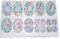Cell Indirect Division Anatomy Model Meiosis Model for Biological Genetics Teaching Tool Biological Study Teaching Laborbedarf 10 Teile