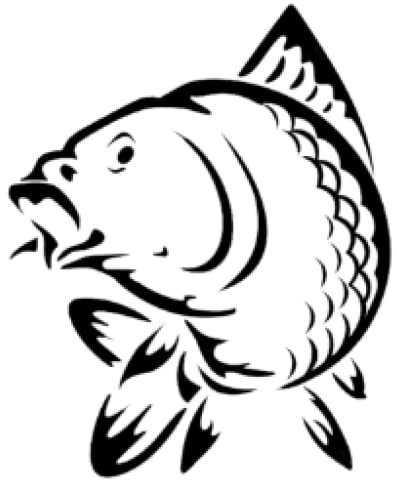 ALANZE 19cm Autoaufkleber Karpfen Fisch Fischerei Vinyl Abziehbild Autozubehör DIY Car Styling