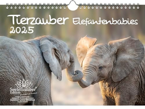 Tierzauber Elefantenbabies DIN A4 Kalender für 2025 Elefanten - Seelenzauber