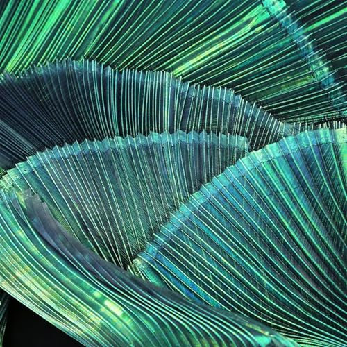 Stoffmaterial, Basteln, Kostüme, Kleiderherstellung, 9 Farben, Plissee-Stoff, Meterware, Netzstoff zum Nähen, Kleiderdesign, Mode, DIY-Form, Bühnen- und Hochzeitshintergrund, Stoffe, DIY, Handwerk,