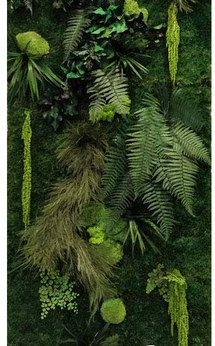 Mur Végétal stabilisé Intérieur JUNGLE Personnalisable - Kit DIY Facile avec Plantes Stabilisées Naturelles Sans Entretien - Décoration Murale Durable et Unique pour Salon, Bureau - Fabriqué en France