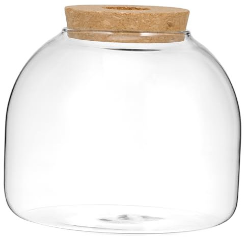 Yardwe Terrarium Mit Holzstopfen Ökosystem Terrarium Für Mikrolandschaften Hydroponische Pflanzen Und Moos Dekoratives Glasgefäß Für Pflanzen Und Fische