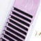ALLOVE Easy Fan Lash Extensions Rapid Blooming Self Fanning Lash trays for Eyelash Extensions 0.03mm DD Curl 10mm Volume Lash Extensions