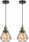 iDEGU 2 Stück Pendelleuchten 16cm Industrial Hängelampe aus Metall Lampenschirm Käfig Design Vintage Lampe E27 Fassung 1-flammig Hängeleuchte für Esstisch Flur Küche Schlafzimmer (Bronze)