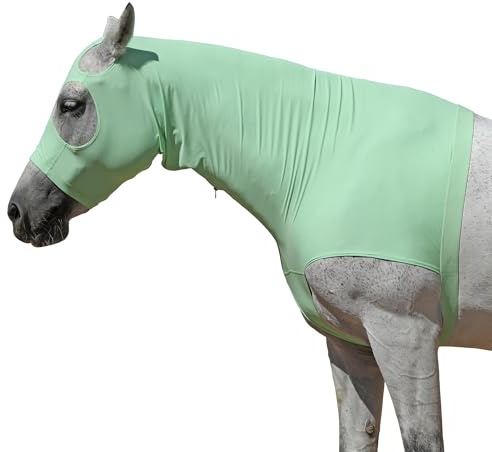 Leberna Horse Stretch Hood Without Ears Snug Fitting Hood with Zip Closure Covers Face, Shoulders, Mane, Chest and Withers Perfect for Show/Event Preparation (Light Green, M)