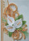 TRRCEPOS 5D Diamond Painting Set für Erwachsene - Blumen bilder Bastelset mit Diamanten - Kreatives Malen für Anfänger - Perlenbilder und Strasssteine - Crystal Art 30x40cm (Diamond drawing D)