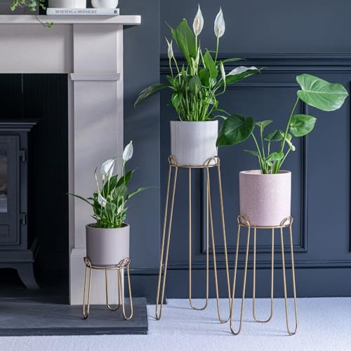 Ivyline Saluzzo Gold Iron Plant Stand - Modern & Decorative Indoors Home House Plant Flowers Foliage Pot Holder - 23 x 18cm