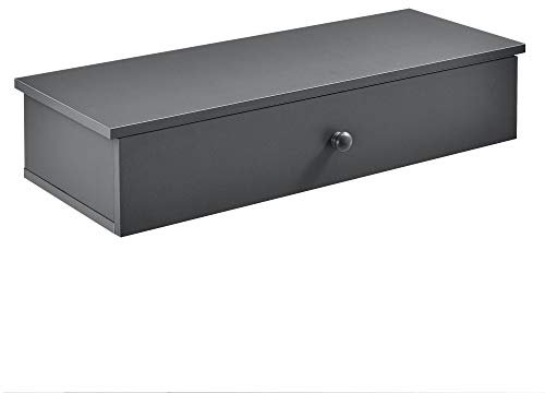 [en.casa] Wandregal mit Tür Dunkelgrau Wand Regal Kommode Nachtkommode Nachtschrank Nachttisch mit Staufach Schwebenachttisch Wandmontage