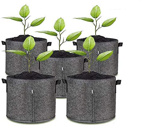 5X Pflanztasche Pflanzsack Pflanzbeutel mit Henkeln Vliesstoff Blumentopf in Grau (25x25cm 12L, Grau)