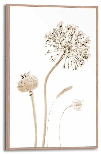 REINDERS Gerahmtes Bild, Trockenblumen, Wohnzimmer, Bilder, Wanddeko, Room Decor, MDF, Beige, 30x20cm