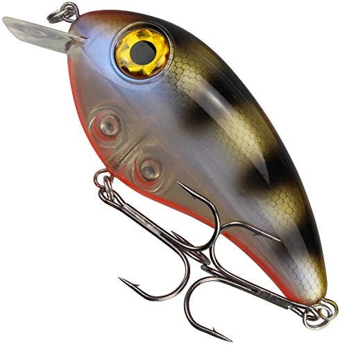 Fishing Tackle Max Unisex – Erwachsene 10C8900178C10 FTM PIKEBOMB-Wobbler Farbe: Goby 10cm/44g aus dem SEIKA Pr-Programm, Bunt, Normal