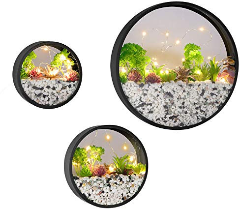 Lot de 3 pots de fleurs modernes ronds en verre avec guirlande lumineuse LED, pot de fleurs en fer pour herbes, petits cactus parfaits pour balcon, chambre et terrasse (noir)