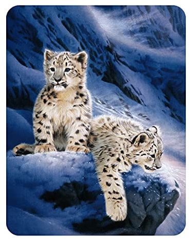 3D LiveLife Magnet - Snow Leopard Cubs from Deluxebase. Lenticular 3D Big Cat Fridge Magnet. Magnetic decor for kids and adults with artwork licensed from renowned artist, Joh Naito