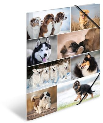HERMA Sammelmappen A3 Hunde Set, 3 Stück, Kinder Eckspanner-Mappen aus Pappe mit Tier Motiv, Gummizug, Innenklappen und Innendruck für Jungen und Mädchen