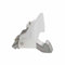 Chiusura Chiusura Porta Lavatrice Balay Bosch Compatibile con Siemens 634207