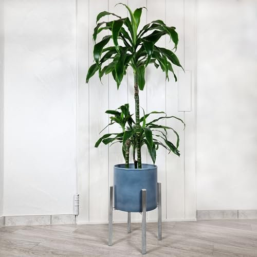 NAMOR Blumenständer aus Edelstahl handgefertigt | Edler Pflanzenständer für stilvolle Wohnräume & Garten | Mit Bodenschonern Edelstahlprodukte
