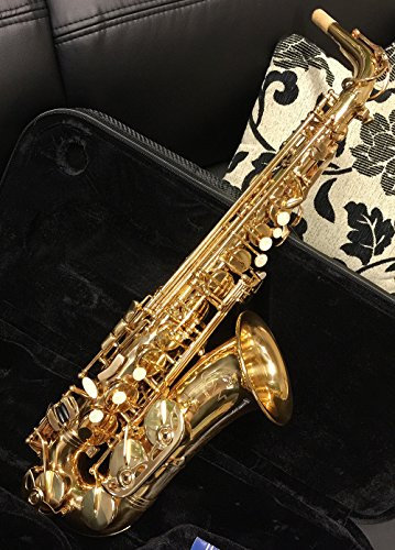 C.G. CONN AS501 Eb-Alt Saxophon inkl. Etui