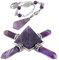 Nupuyai Amethyst Healing Crystal Kit, Energy Pyramid with 4 Stone Point Wand Dowsing Pendulum Collection Set Reiki Figurine Decor