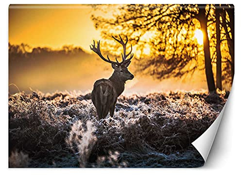 Feeby Fototapete Moderne Wanddeko Wandbild Sonne Waldlichtung 350x245 cm Orange Wandtapete Design Kinderzimmer Küche Büro Flur Wohnzimmer Hirsch Morgen Natur