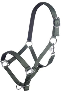 HKM Stars Halfter weich unterlegt, Khaki, Pony