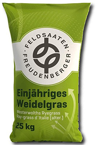 Freudenberger Einjähriges Weidelgras 25 kg Italienisches Raygras Zwischenfrucht Biogas Futter