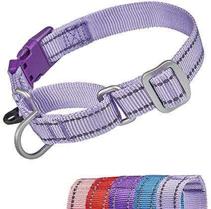 YUDOTE Reflective Martingale Dog Collars Escape-proof Anti-pull Training Coller with Safety Quick Release Buckle for Narrow Head Canines Ease Walking,Small Lilac