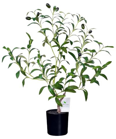 Leflos 60cm Olivo Realista en Maceta de para Interior, sólo para Interior, con Tronco Vivo, Rama Ajustable y Aceitunas gordas, 1 Pieza