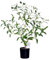 Leflos 60cm Indoor Plante réaliste en Pot d'olive, pour l'intérieur Seulement, avec Tronc Vivant, Branche Ajustable et Olives dodues, 1-pièce