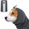 Warme Ohrenschützer Hund, Hundeschal Ohrenschutz Hund Haustiermütze Anti-Lärm-Hunde-Ohrenschützer Hundehalsband Gehörschutz-Ohrenschützer für Katzen und Hunde(Grau, S)