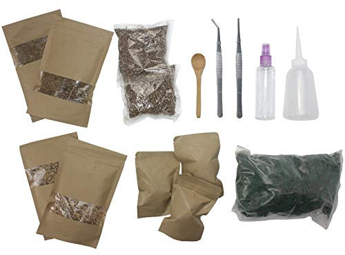 Musykrafties, kit per terrario giardino delle fate, per creare il proprio terrario vivo FULL SET include Moss Soil Carbonized Charcoal and Tools