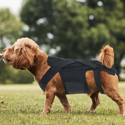 Fabater Hunde-Rückenbandage, Haustier-Rückenstützweste, Rückenbandage für Dackel, Corgis und Andere Hunde, IVDD-Arthritis, Bandscheibenvorfall, Chirurgische Genesung der Wirbelsäule