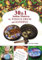 30 and 1 Indian Mantras for Tongue Drum and Handpan: Play by Number (Sacred Rhythms. Ethno Melodies, Mantras and Gospels for Tongue Drum Book 3) (English Edition)