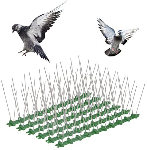 12 Stück Edelstahl-Vogelspitzen Vogelabwehr-Spikes zum Schutz von Pflanzen Abwehrmittel Zaunspitzen Anti-Vogel-Nägel Anti-Katzen-Krabbel-Spikes mit Kunststoffsockel